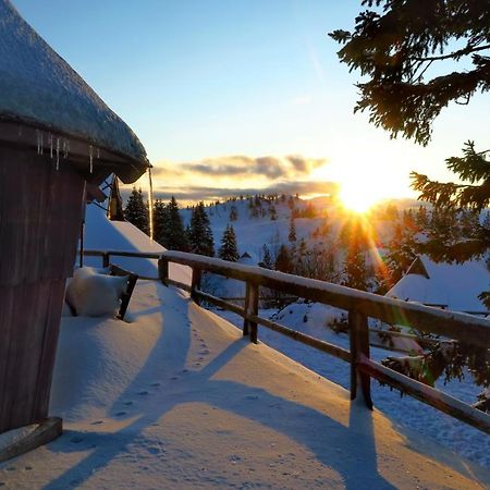 Chalet Resa - Velika Planina Stahovica 外观 照片