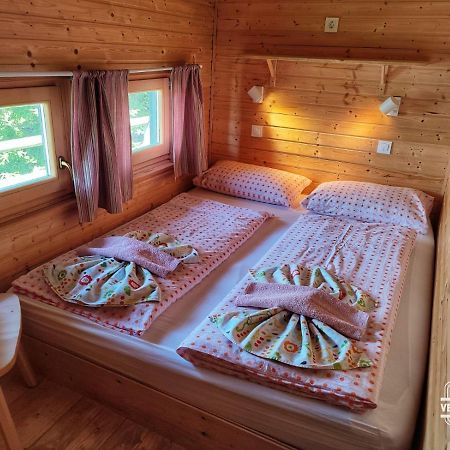 Chalet Resa - Velika Planina Stahovica 外观 照片