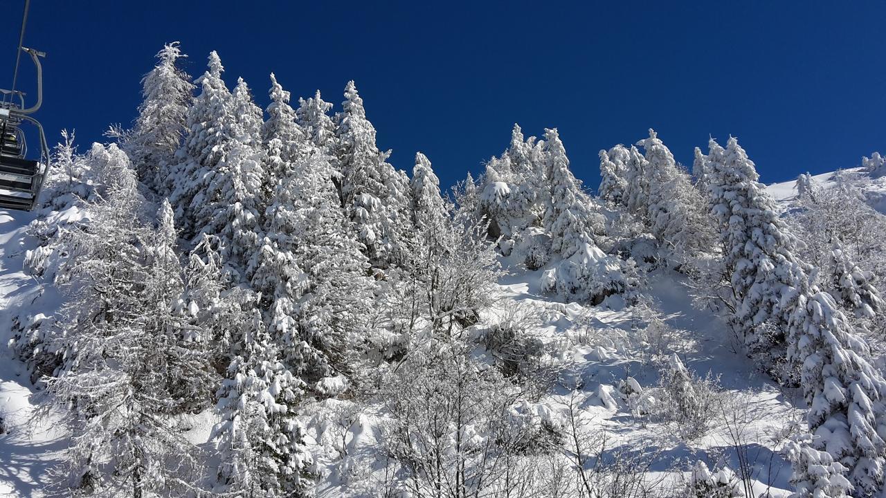 Chalet Resa - Velika Planina Stahovica 外观 照片